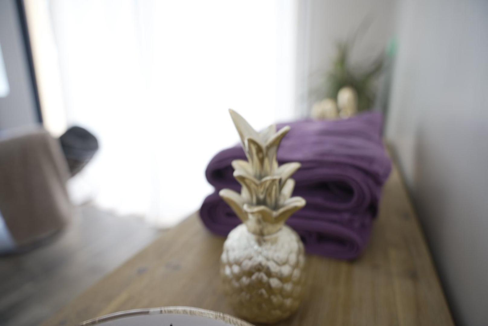 Atoumo Appartement Love Jacuzzi & Jardin Disneyland Paris Quincy-Voisins 部屋 写真